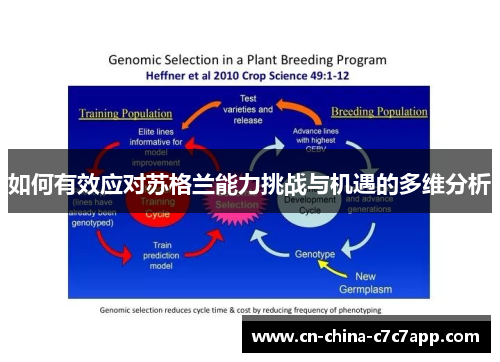 如何有效应对苏格兰能力挑战与机遇的多维分析