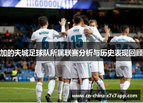 加的夫城足球队所属联赛分析与历史表现回顾