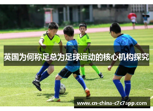 英国为何称足总为足球运动的核心机构探究