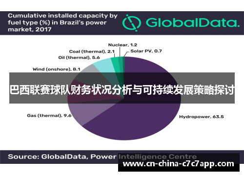巴西联赛球队财务状况分析与可持续发展策略探讨 巴西联赛球队财务状况分析与可持续发展策略探讨