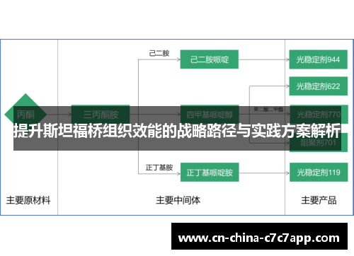 提升斯坦福桥组织效能的战略路径与实践方案解析
