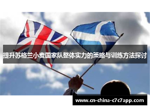 提升苏格兰小麦国家队整体实力的策略与训练方法探讨